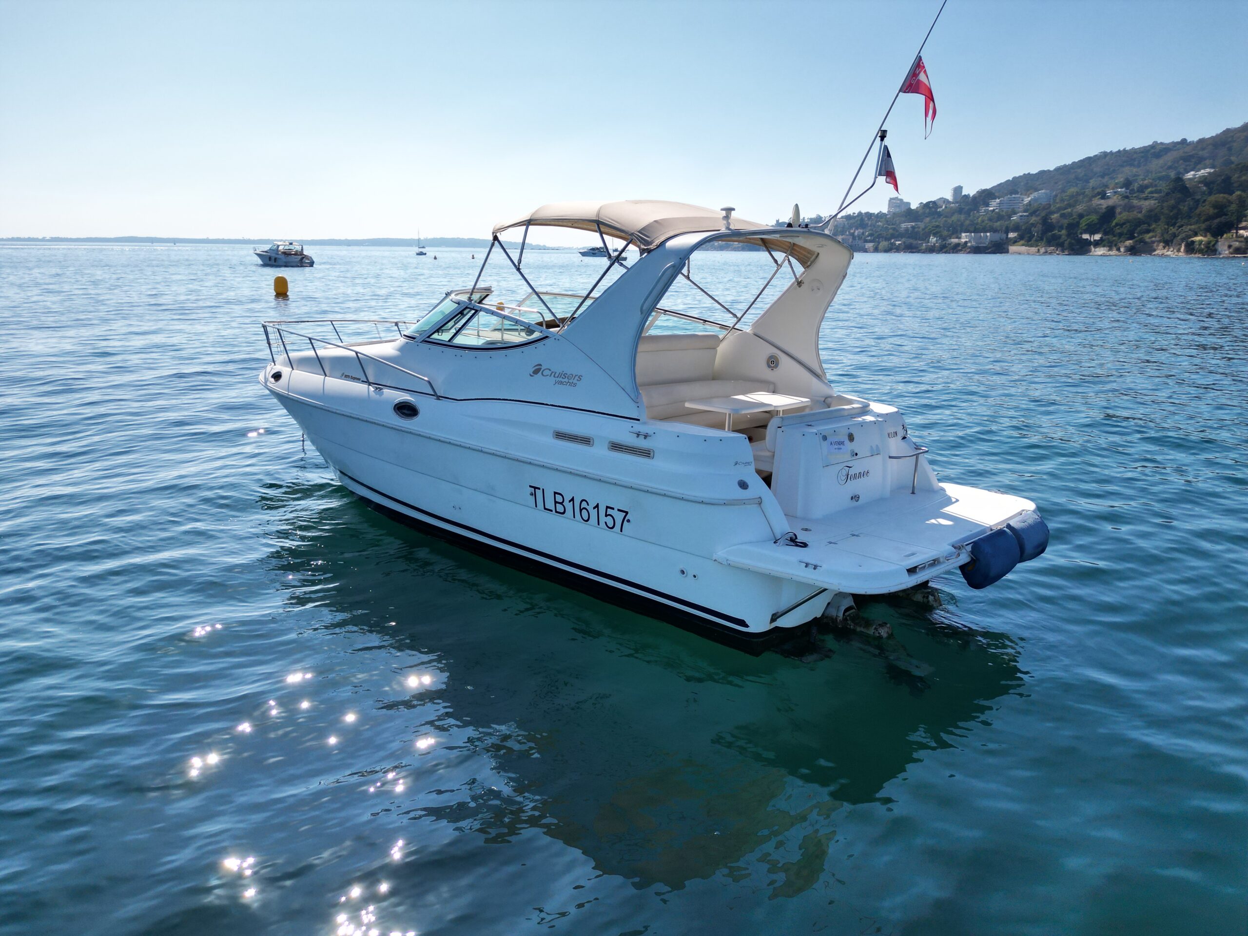 1999 Cruisers Yachts 3075 Rogue for sale (photo 2)