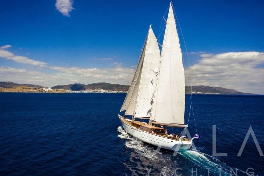 2015 CUSTOM BUILT Custom 40M na sprzedaż (photo 4)