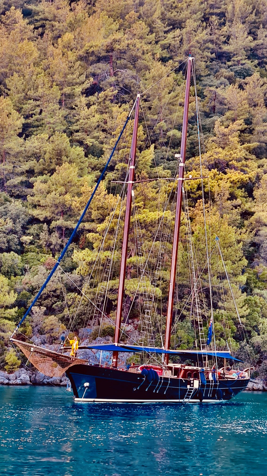 1993 Unknown GY196 na sprzedaż (photo 5)
