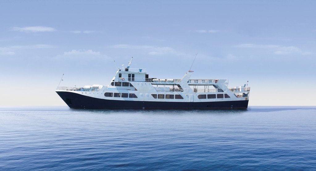 1996 Day Cruiser GY 225 zu verkaufen (photo 2)