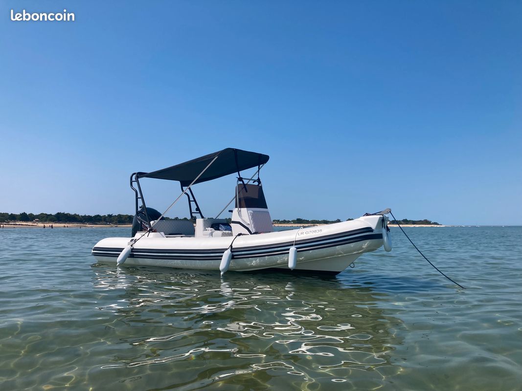2024 Tiger Marine 550 Proline na sprzedaż (photo 2)