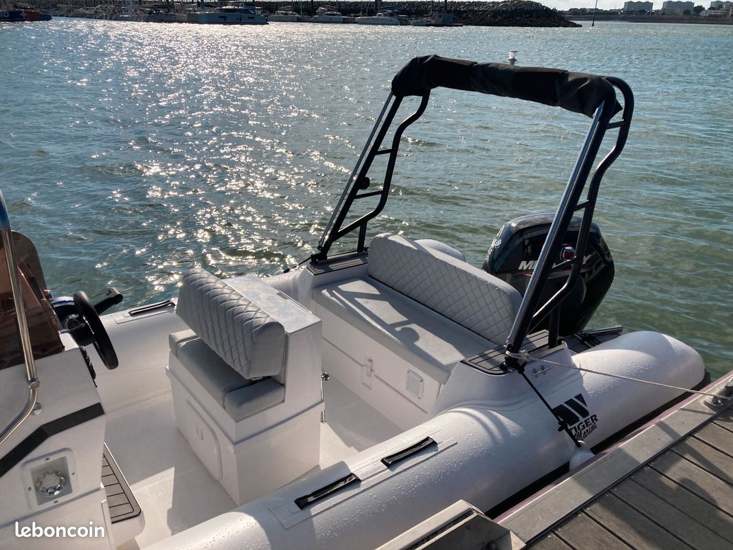 2024 Tiger Marine 550 Proline na sprzedaż (photo 4)