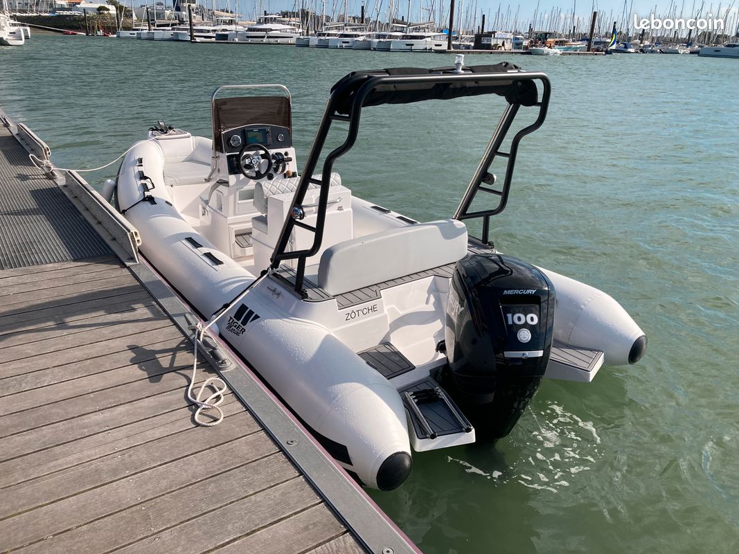 2024 Tiger Marine 550 Proline na sprzedaż (photo 5)
