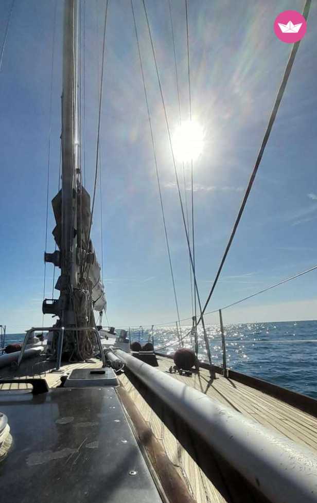 1973 Swan 43 na czarter (photo 10)
