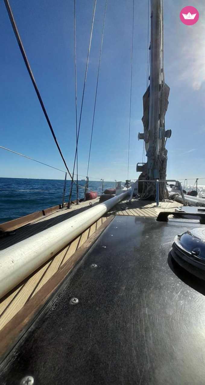 1973 Swan 43 na czarter (photo 12)