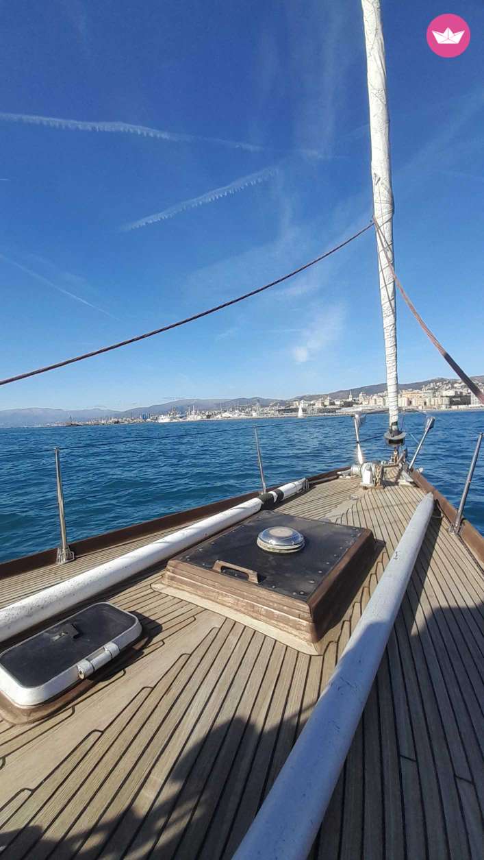 1973 Swan 43 na czarter (photo 13)