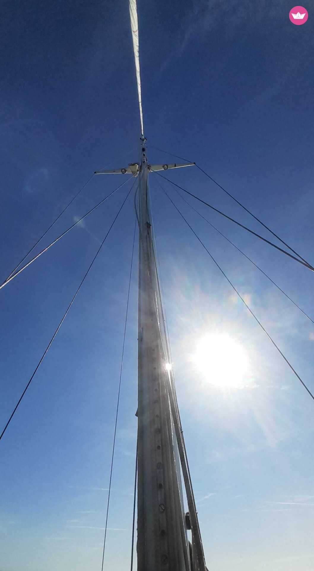 1973 Swan 43 na czarter (photo 15)