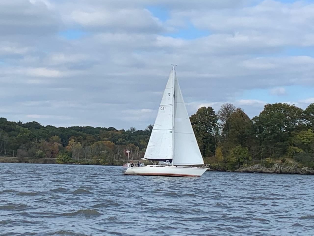 Boat Image