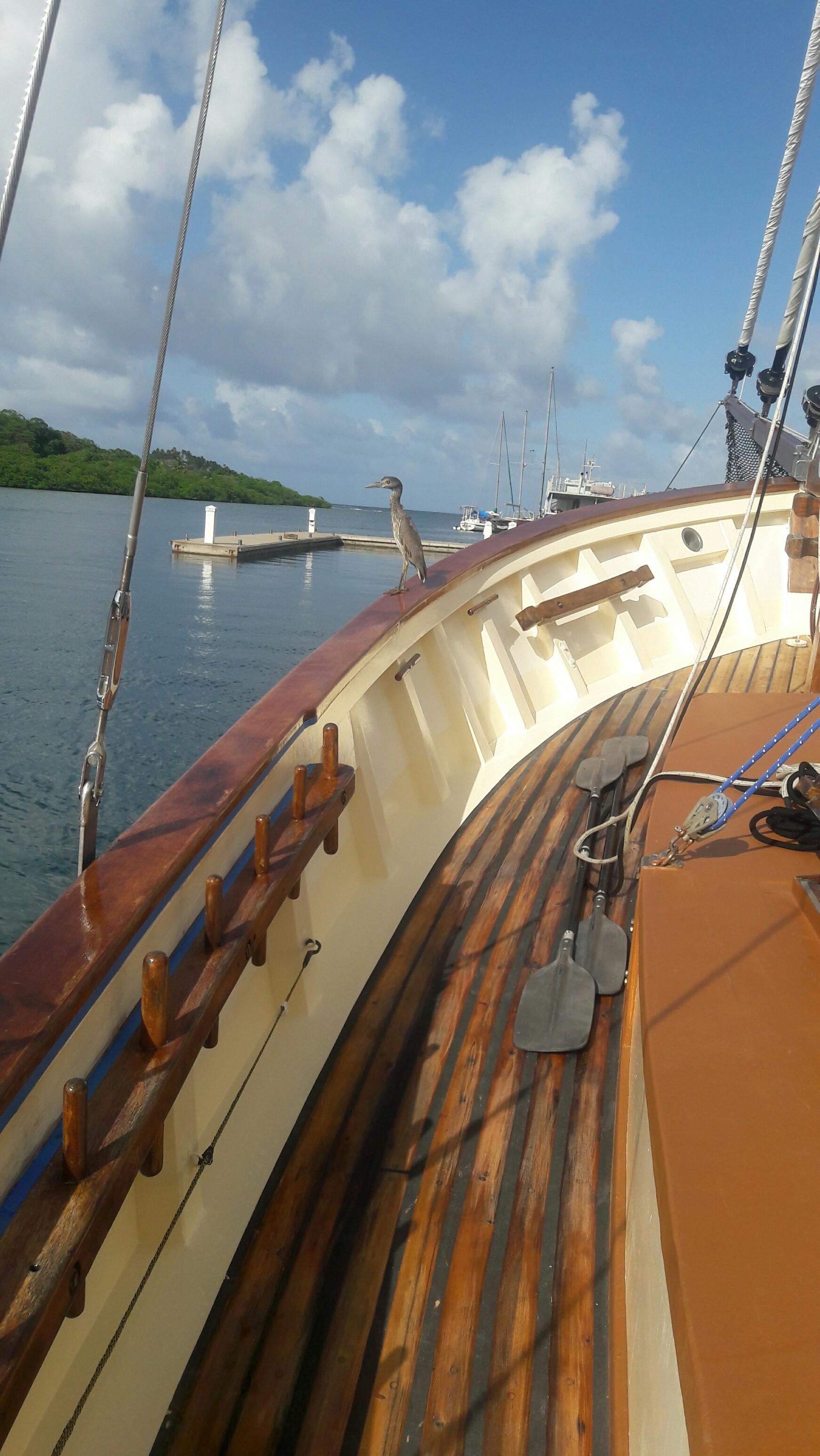 Boat Image