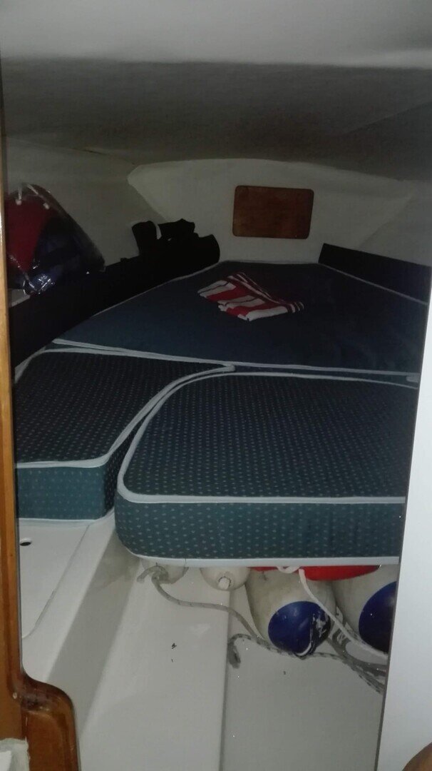 1990 Airon Marine Master 25 in vendita (photo 5)