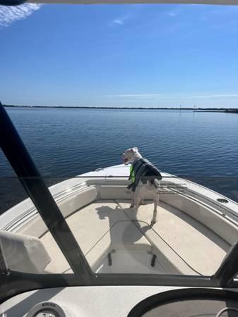 2023 Sea Hunt Ultra 234 for sale (photo 2)
