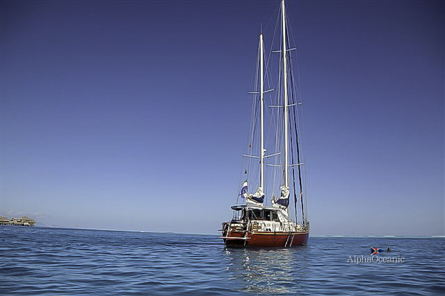 2008 Custom Twin Screw Steel Ketch 32m zu verkaufen (photo 9)