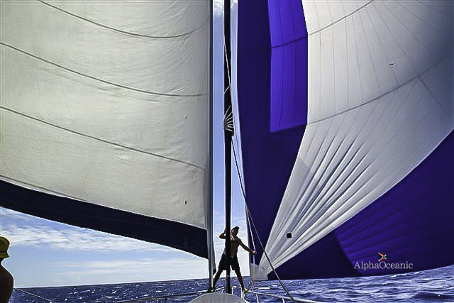 2008 Custom Twin Screw Steel Ketch 32m zu verkaufen (photo 15)