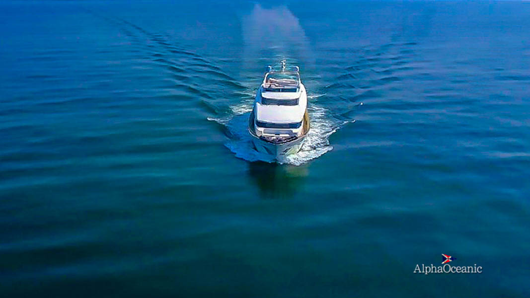 2006 Canados 100 te koop (photo 2)
