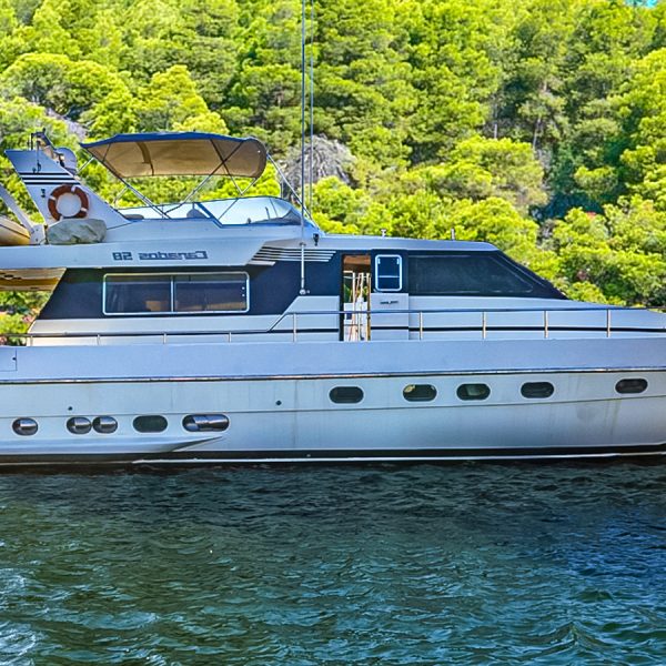 1991 Canados 58 à vendre (photo 4)