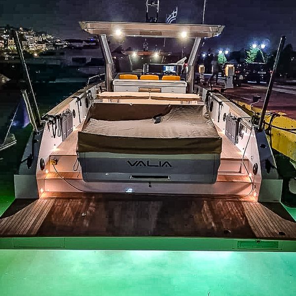 2021 Fiart 43 Seawalker à vendre (photo 6)