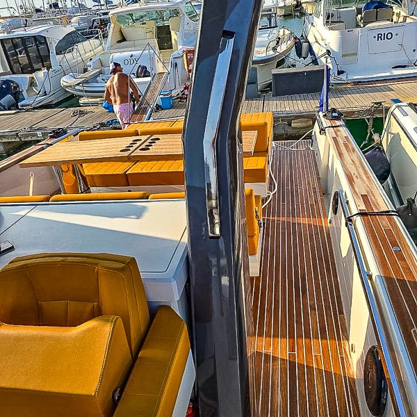 2021 Fiart 43 Seawalker à vendre (photo 7)