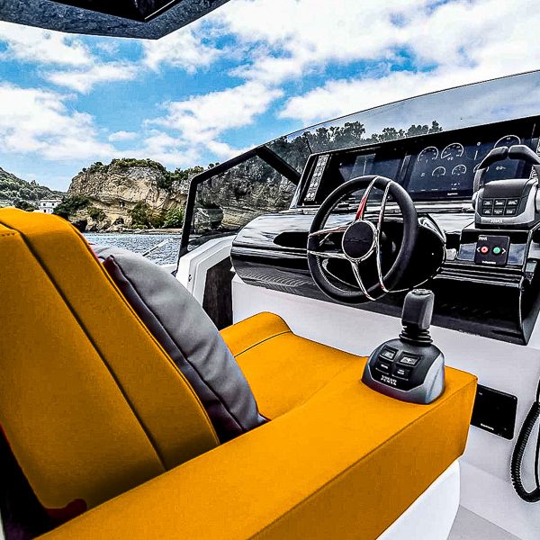 2021 Fiart 43 Seawalker à vendre (photo 11)
