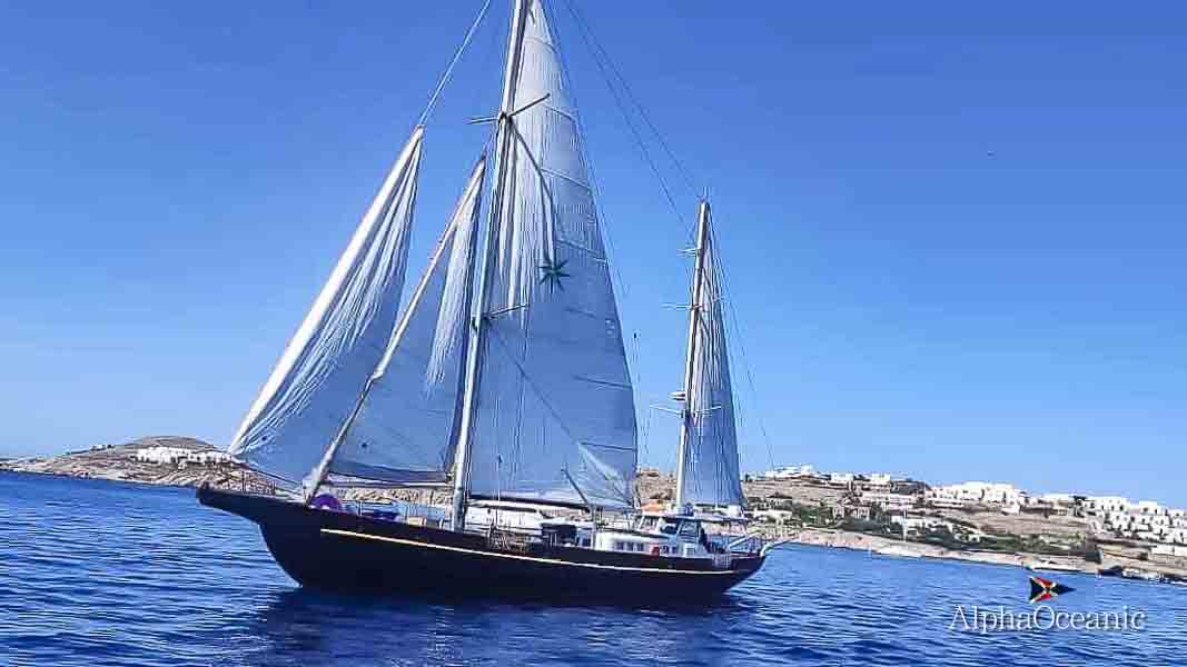 1961 Beliard Crighton 100 en venta (photo 8)