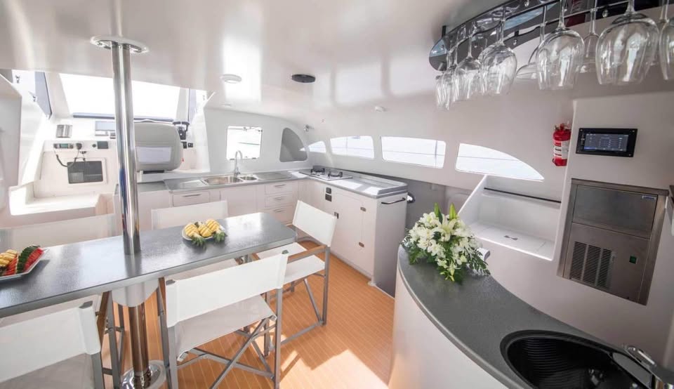 2019 Asia Catamarans Stealth 47 Powercat for sale (photo 9)