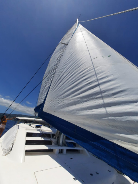 2006 LEOPARD 40 for sale (photo 8)