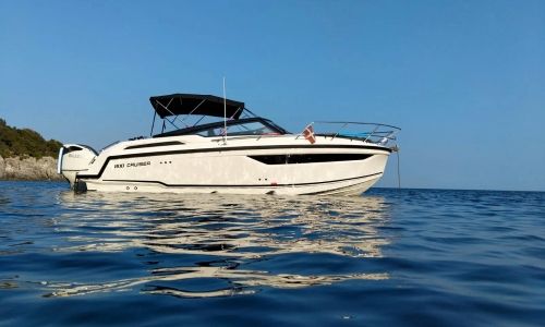 2022 PARKER 800 Cruiser à vendre (photo 2)