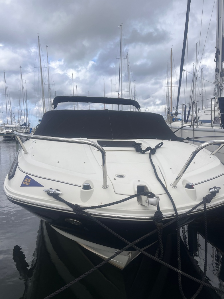 2021 Bayliner VR5 Cuddy zu verkaufen (photo 13)