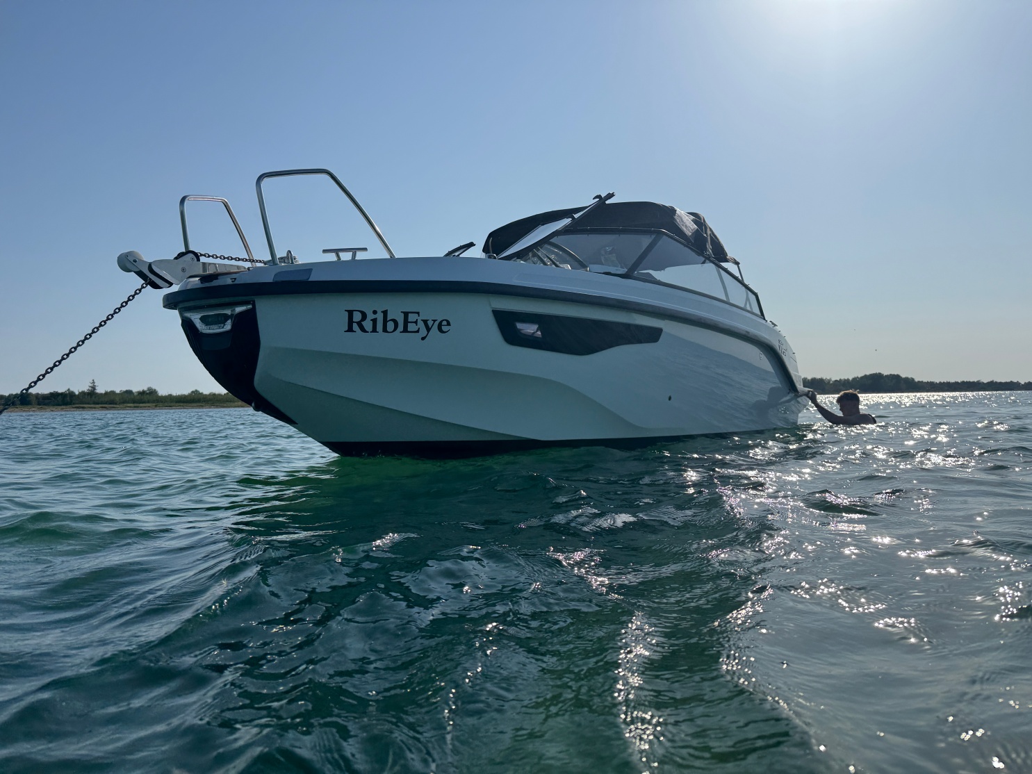 2021 Silver Viper DcZ zu verkaufen (photo 15)