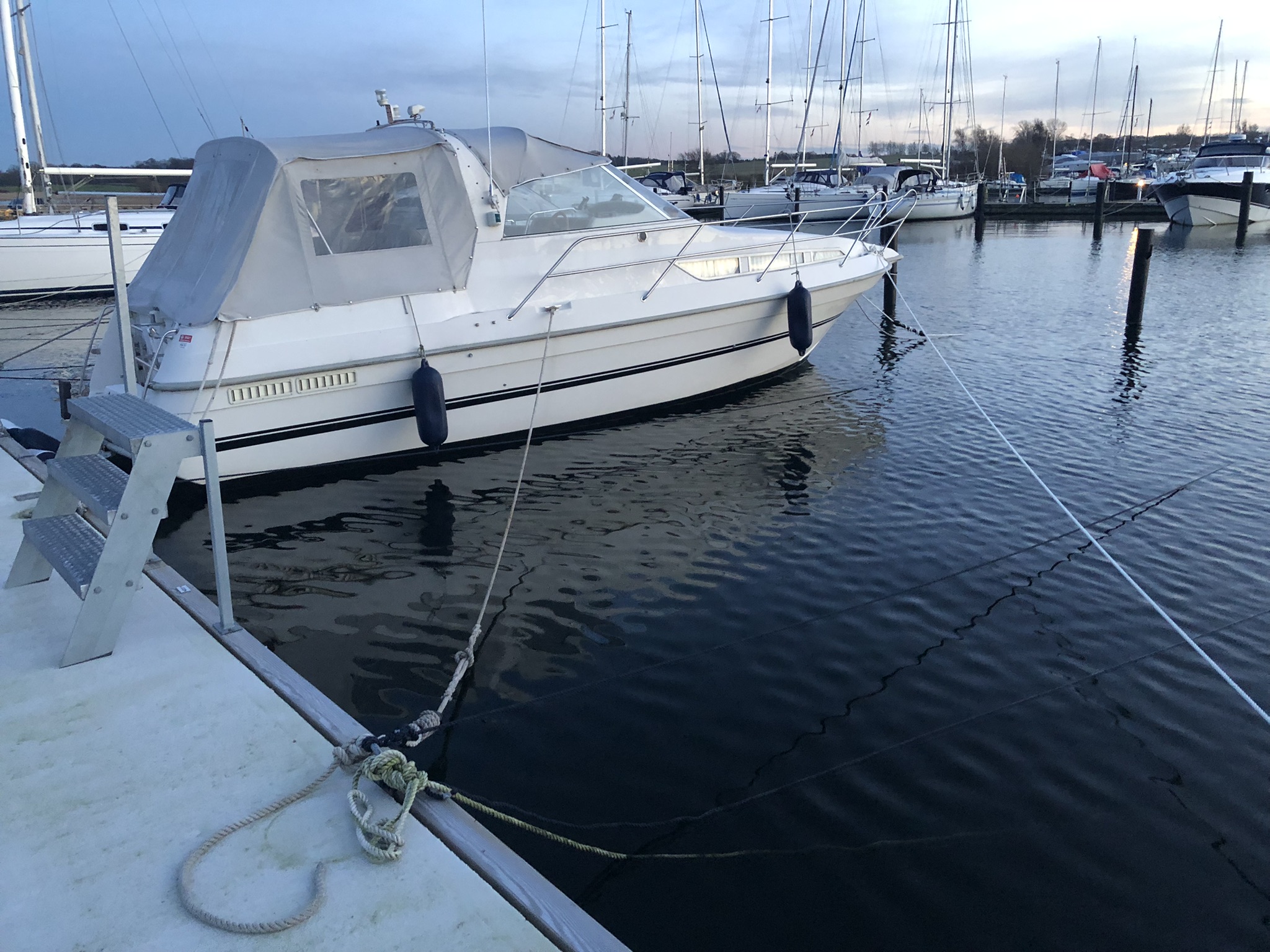 1995 Marex 290 Sun Cruiser zu verkaufen (photo 41)