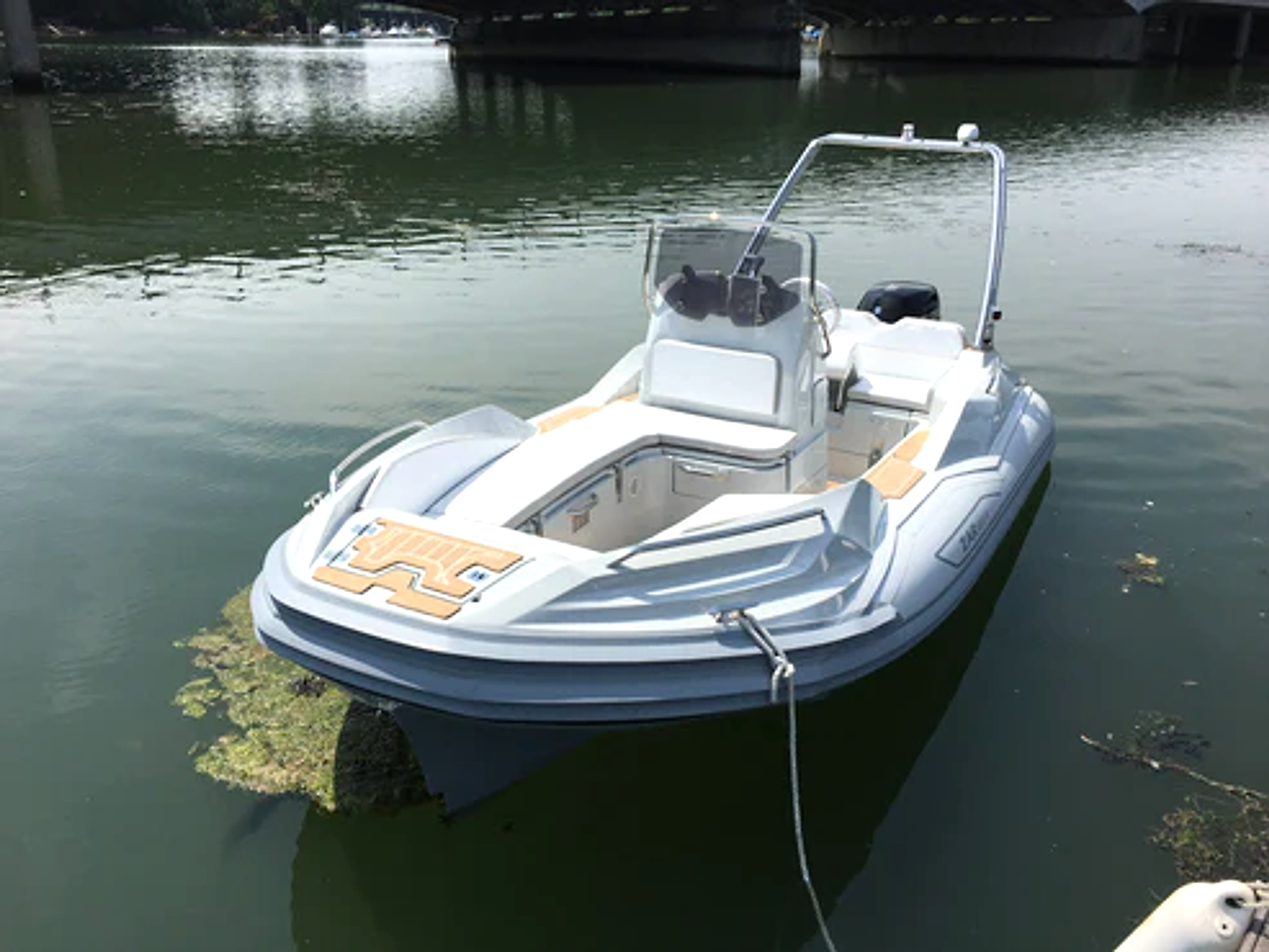 2026 ZAR 49 Sport Luxury à venda (photo 4)