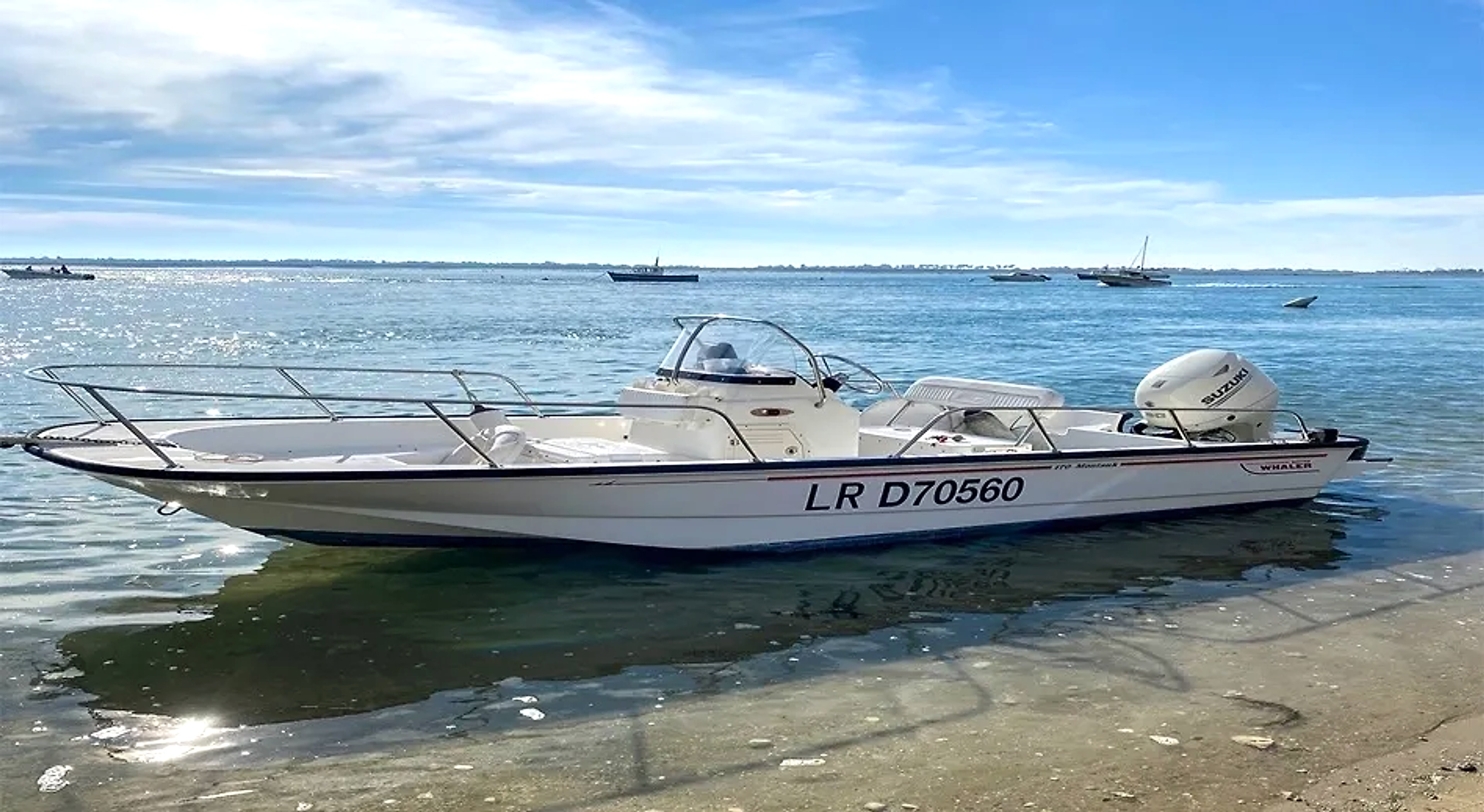 2008 Boston Whaler 170 Montauk en venta (photo 1)