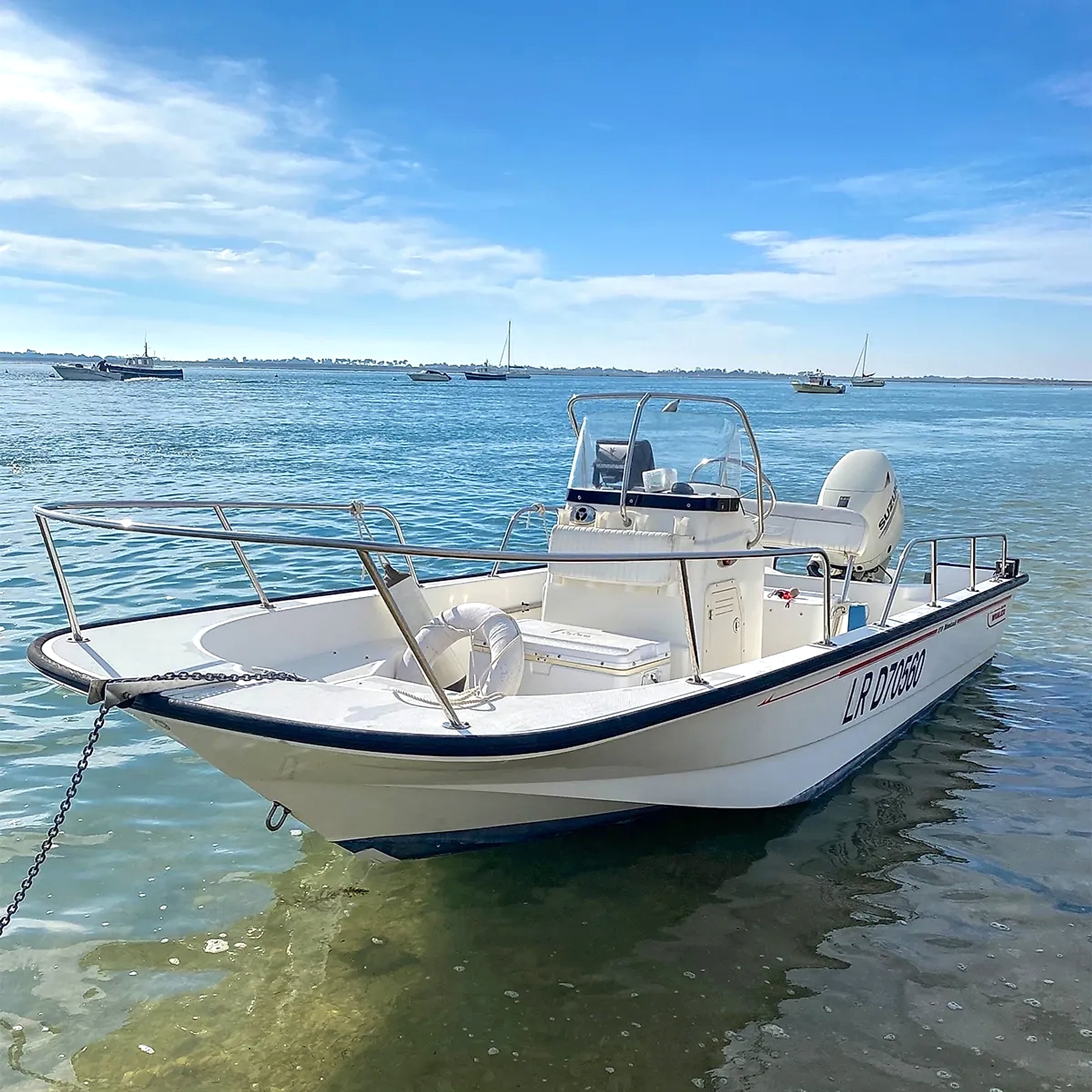 2008 Boston Whaler 170 Montauk en venta (photo 8)