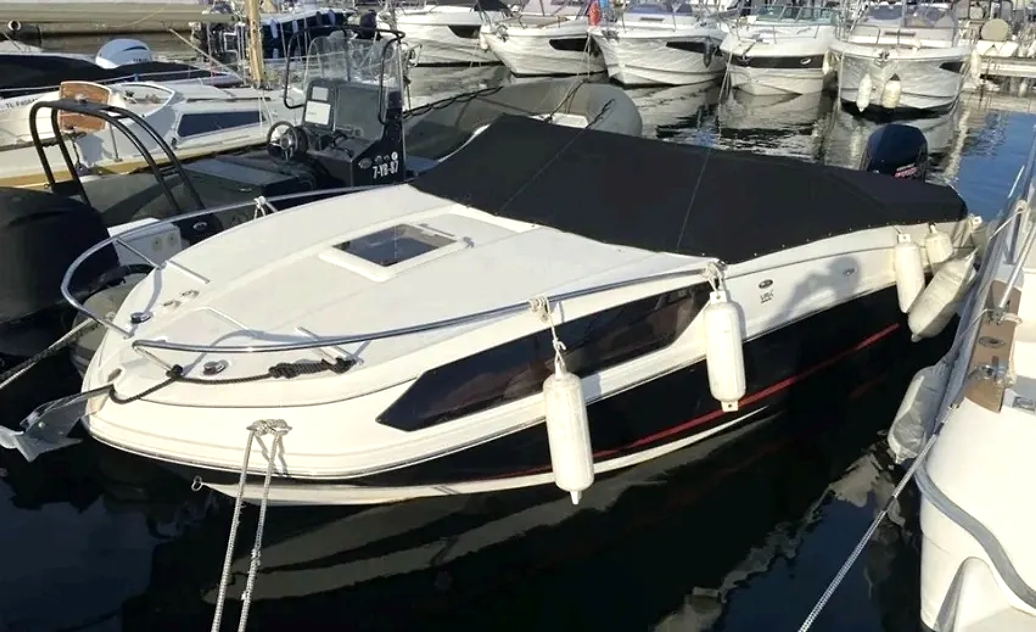 2019 Bayliner Vr6 Cuddy zu verkaufen (photo 1)