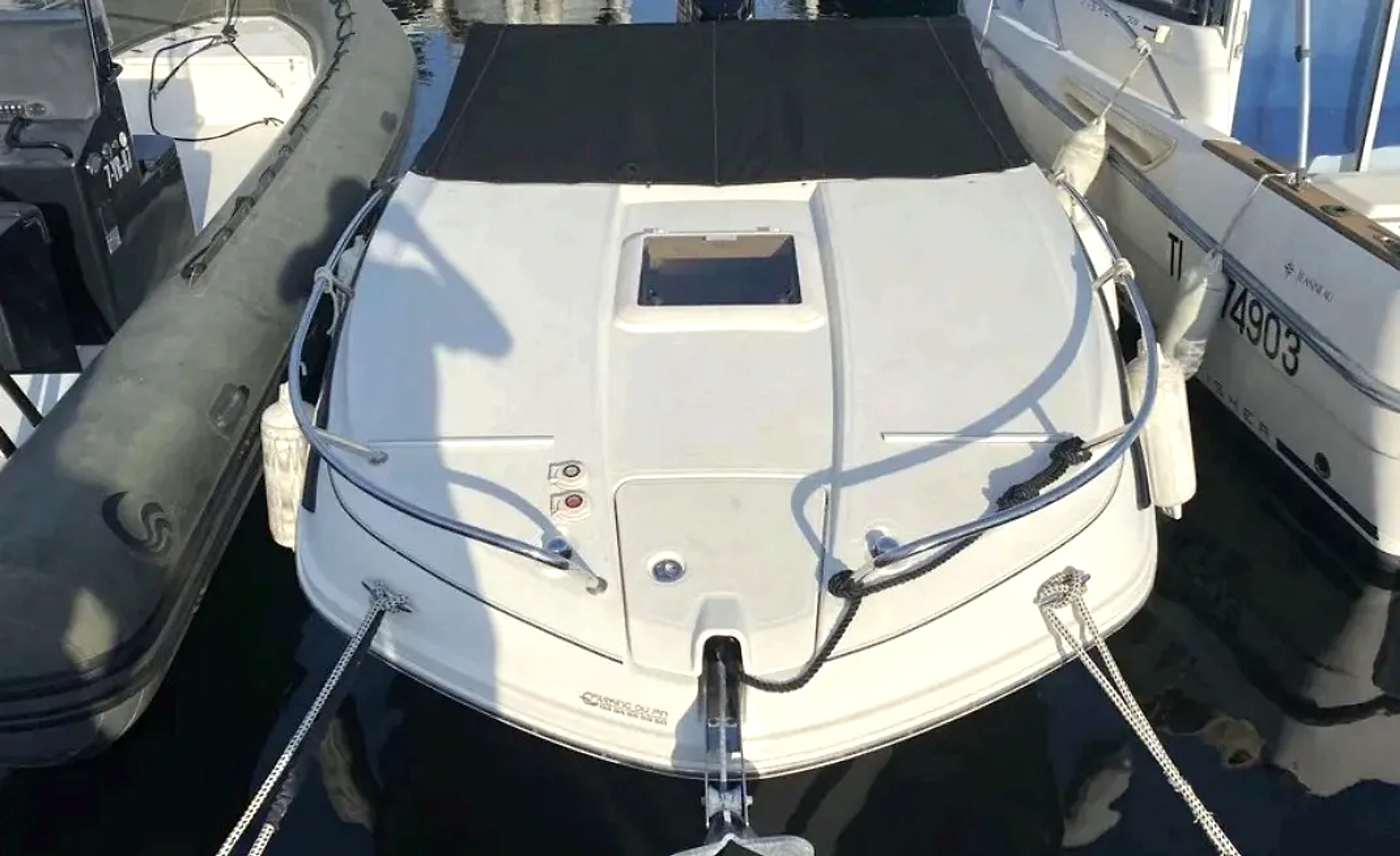 2019 Bayliner Vr6 Cuddy zu verkaufen (photo 4)