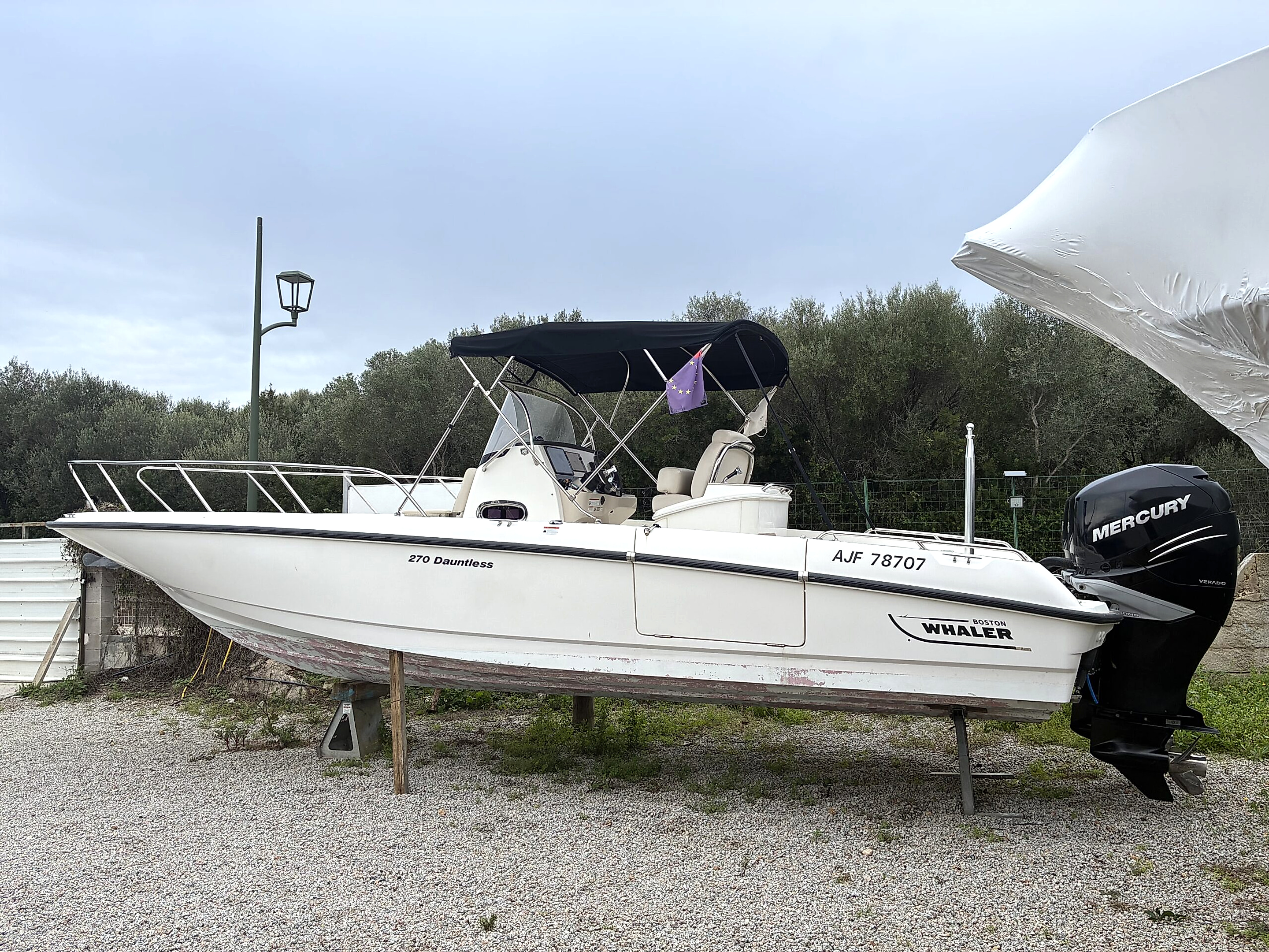 2018 Boston Whaler 270 Dauntless en venta (photo 2)