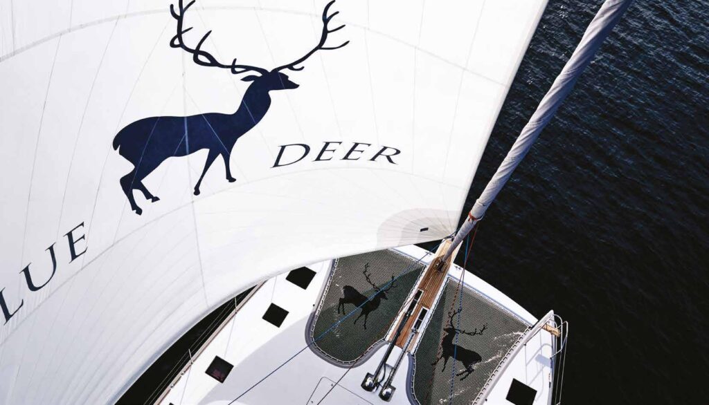 2015 Sunreef 74 for sale (photo 4)