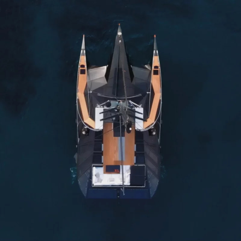 2020 Hanstaiger X1 na czarter (photo 5)