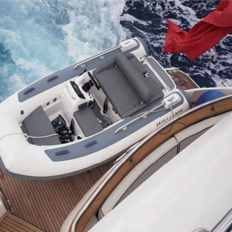 2004 Elegance 78 à louer (photo 9)