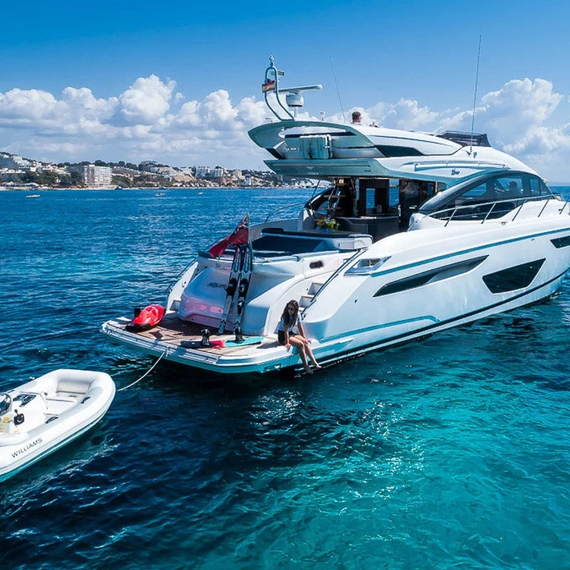 2020 Princess S60 para fretamento (photo 2)