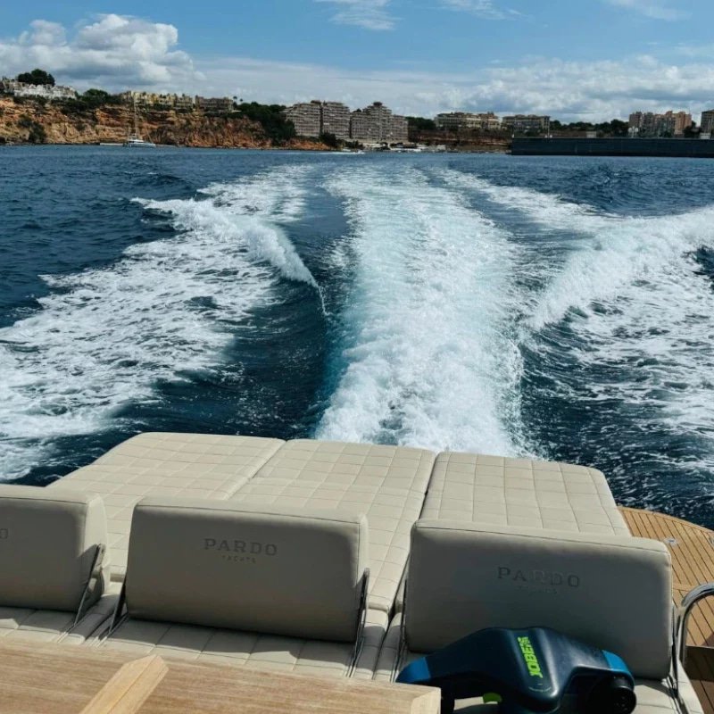 2021 Cantiere del Pardo Pardo 43 zu chartern (photo 1)