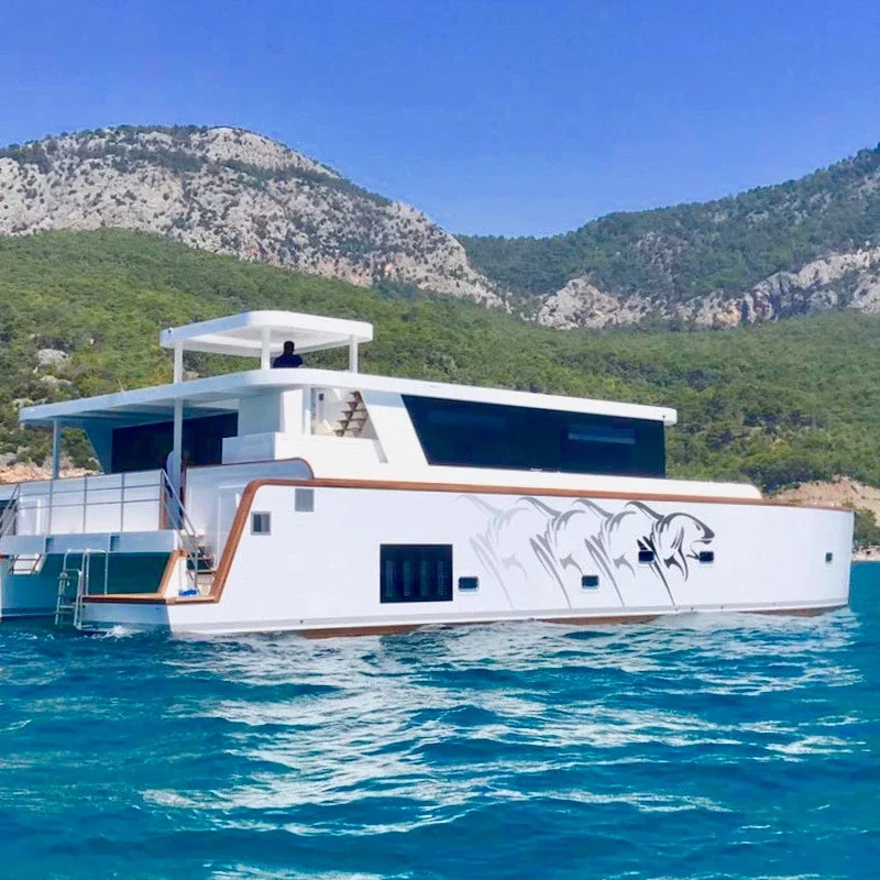2020 Ocean Yachts Ocean Beast 65 a noleggio (photo 2)