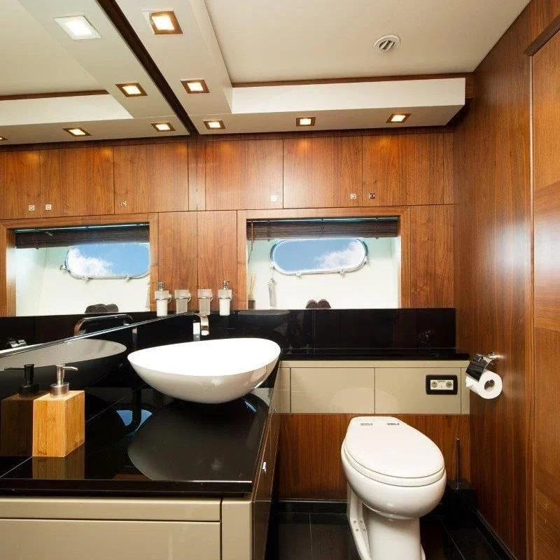 2010 Sunseeker Predator 84 à louer (photo 11)