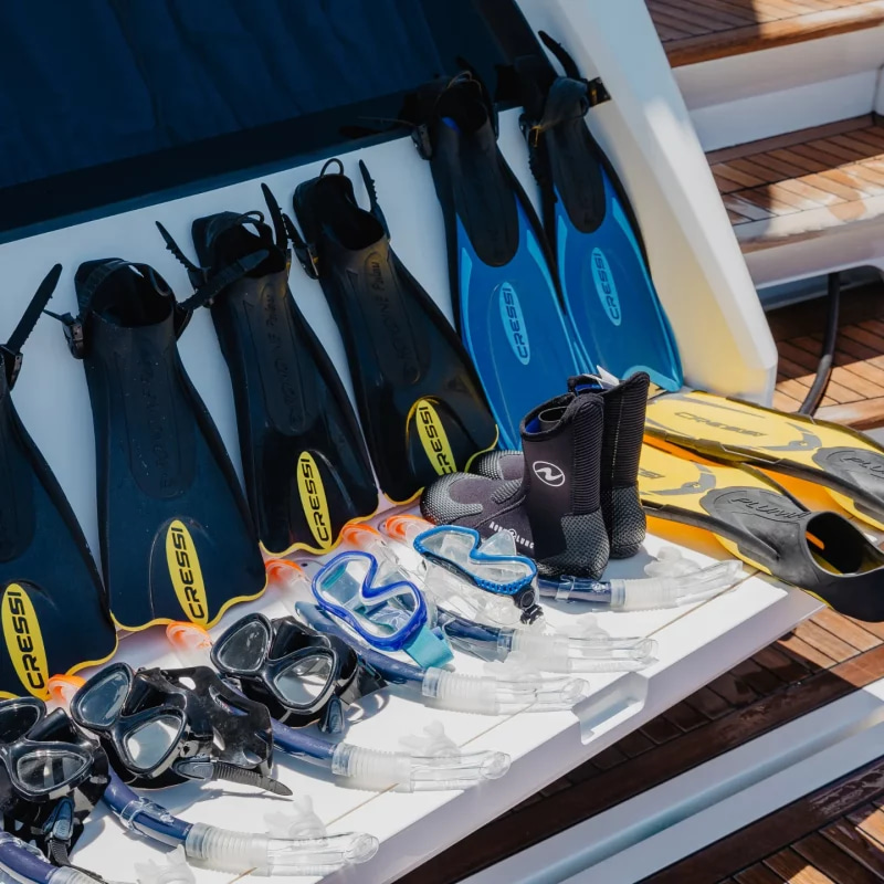 2015 Sunseeker 86 Fly na czarter (photo 15)