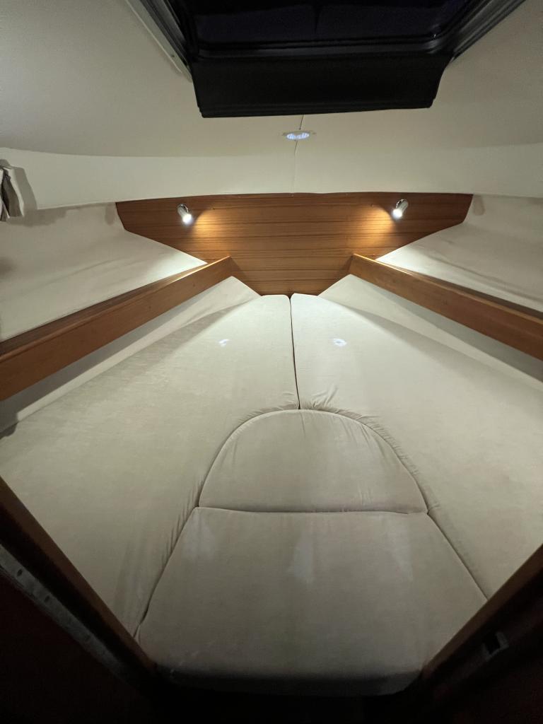 2010 Saga 315 en venta (photo 19)