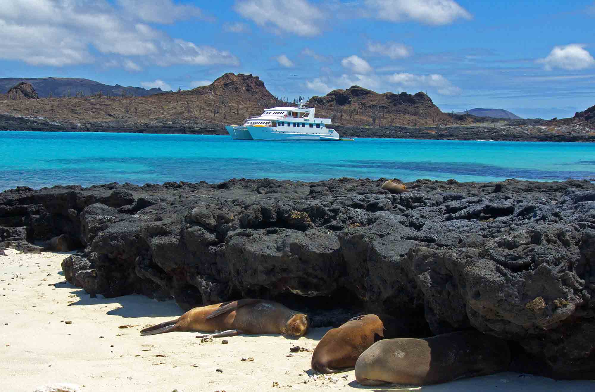 2007 Latin Trails Galapagos Seaman Journey for charter (photo 3)