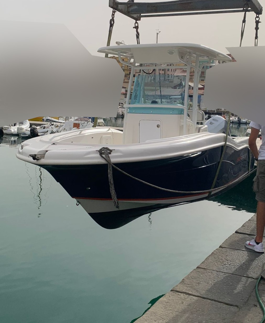 2015 Sea Game 200 Starfish en venta (photo 4)