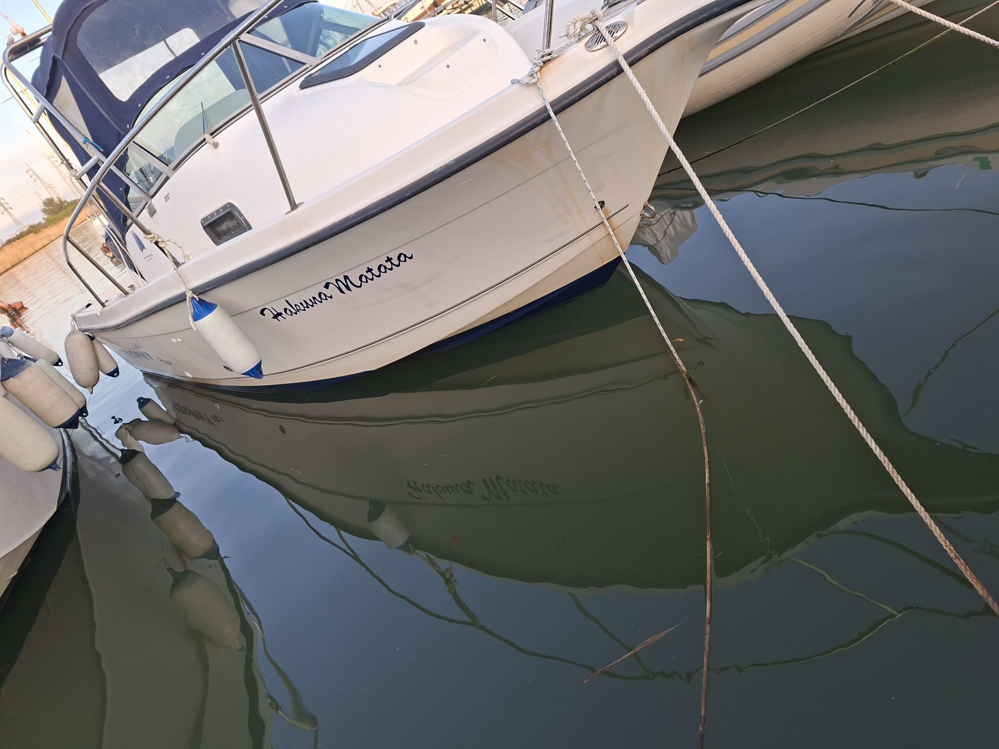 2015 Bayliner Trophy Pro 20.52 in vendita (photo 1)