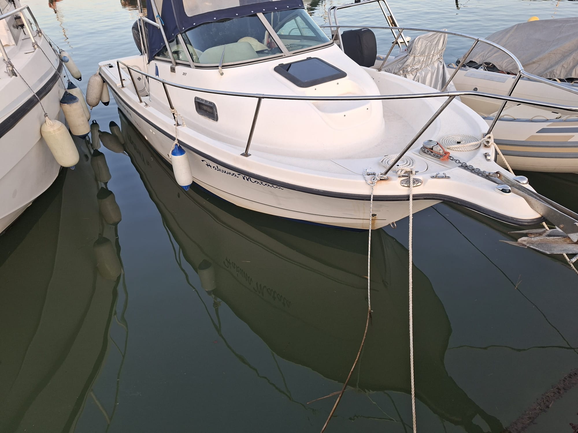 2015 Bayliner Trophy Pro 20.52 in vendita (photo 2)