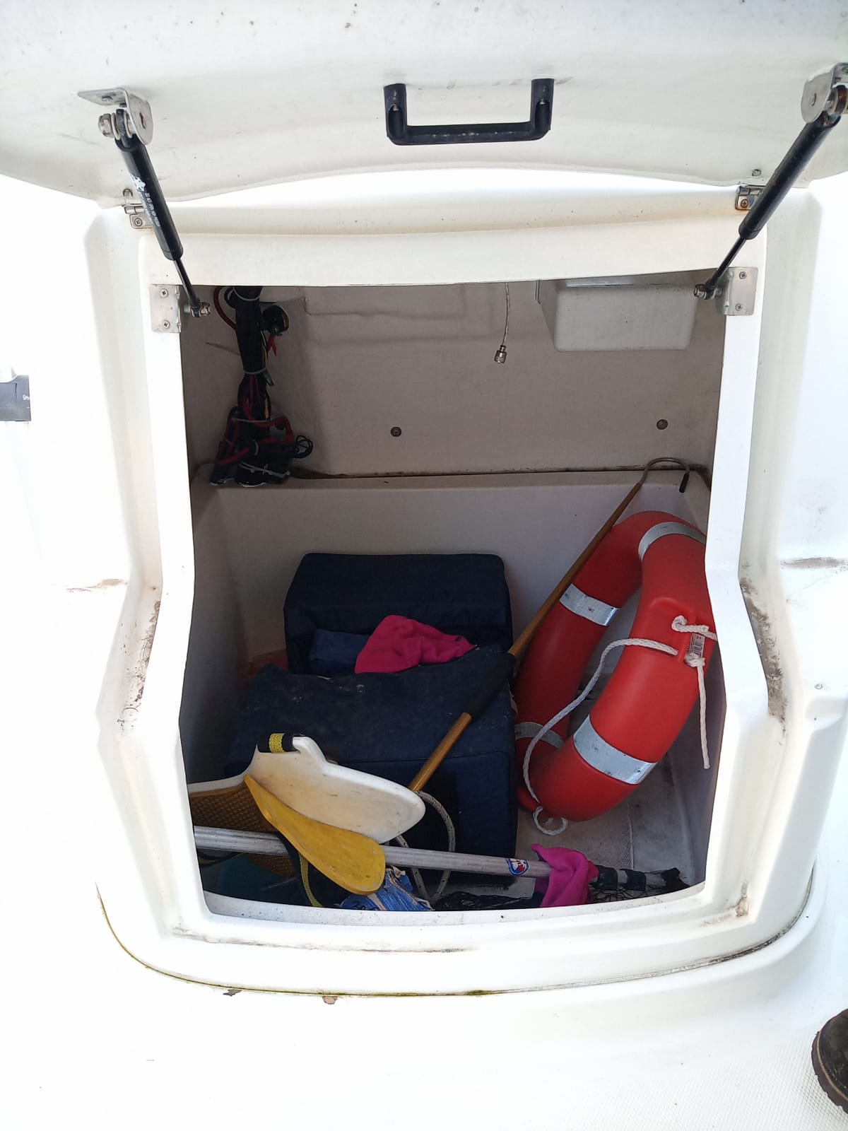 2015 Selva Marine 6.7 Elegance for sale (photo 22)