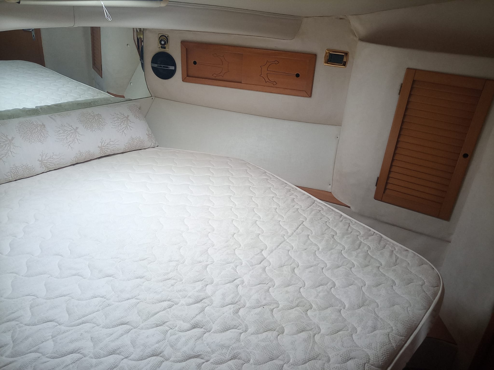 1987 Dellapasqua & Carnevali DC 10 Fly for sale (photo 60)